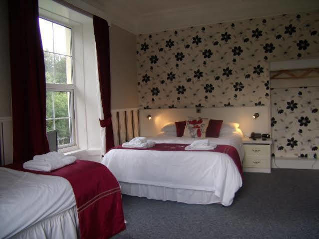 The George Borrow Hotel Ponterwyd Exteriör bild