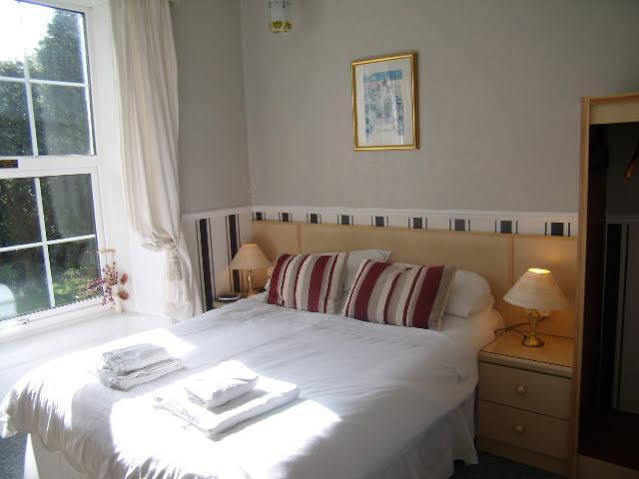 The George Borrow Hotel Ponterwyd Exteriör bild